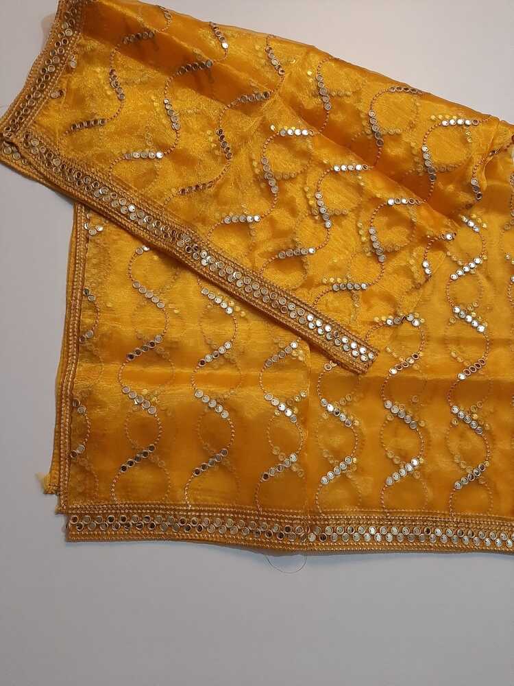 Mirror Work Organza Dupatta -  ZD640