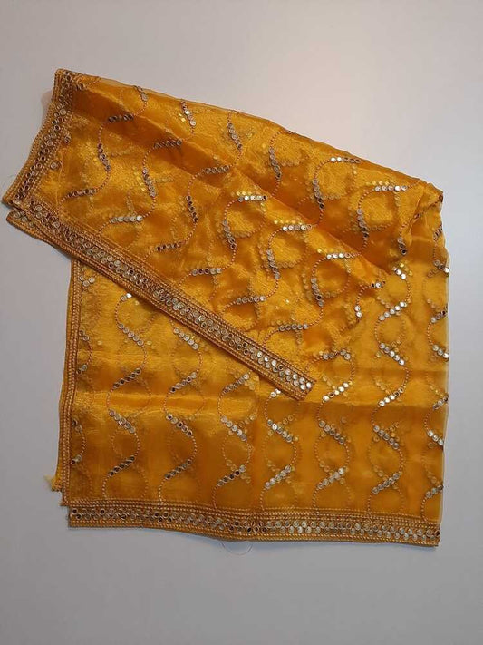 Mirror Work Organza Dupatta -  ZD640