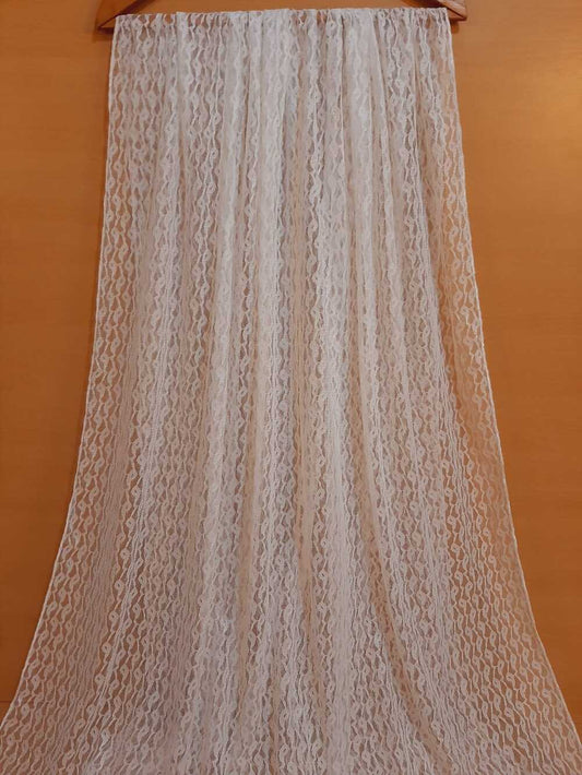 Net Dupatta - White - ZD616