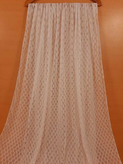 Net Dupatta - White - ZD824
