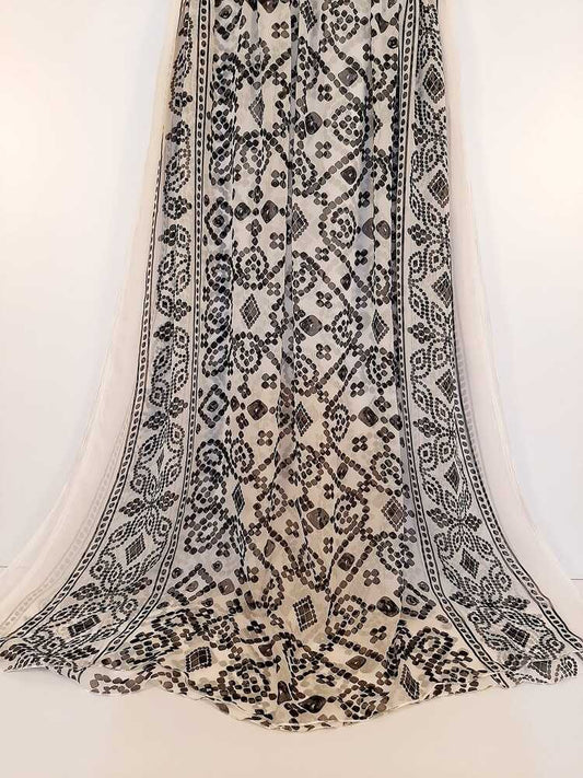 Printed Chiffon Dupatta - ZD1095
