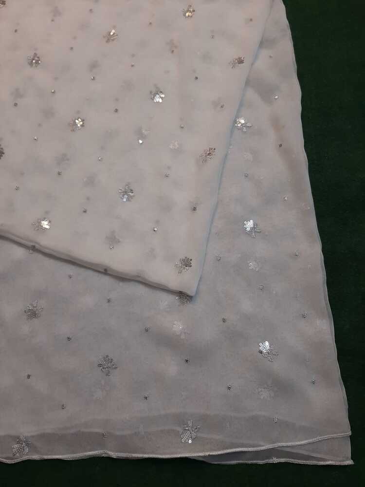 Silver Zari Embroided Chiffon Dupatta – Dyeable - ZD833