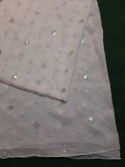 Silver Zari Embroided Chiffon Dupatta – Dyeable - ZD833