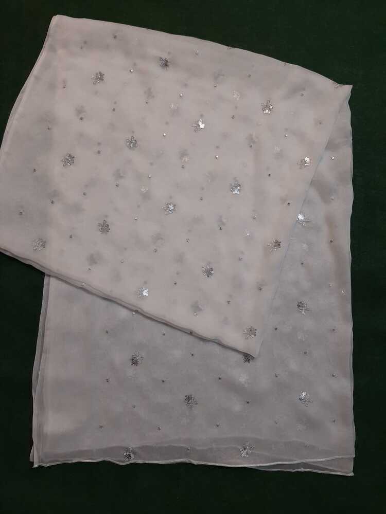 Silver Zari Embroided Chiffon Dupatta – Dyeable - ZD833