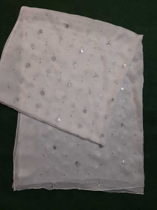 Silver Zari Embroided Chiffon Dupatta – Dyeable - ZD833