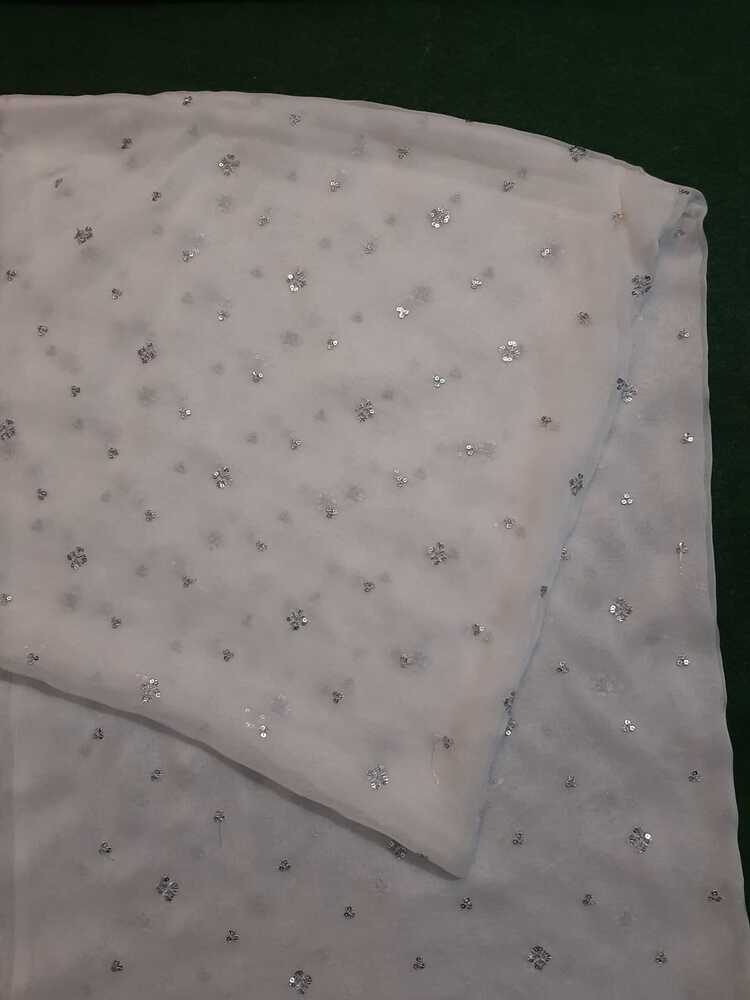 Silver Zari Embroided Chiffon Dupatta – Dyeable - ZD834