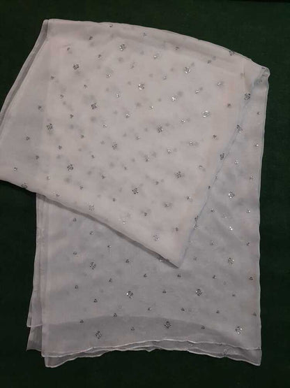 Silver Zari Embroided Chiffon Dupatta – Dyeable - ZD834