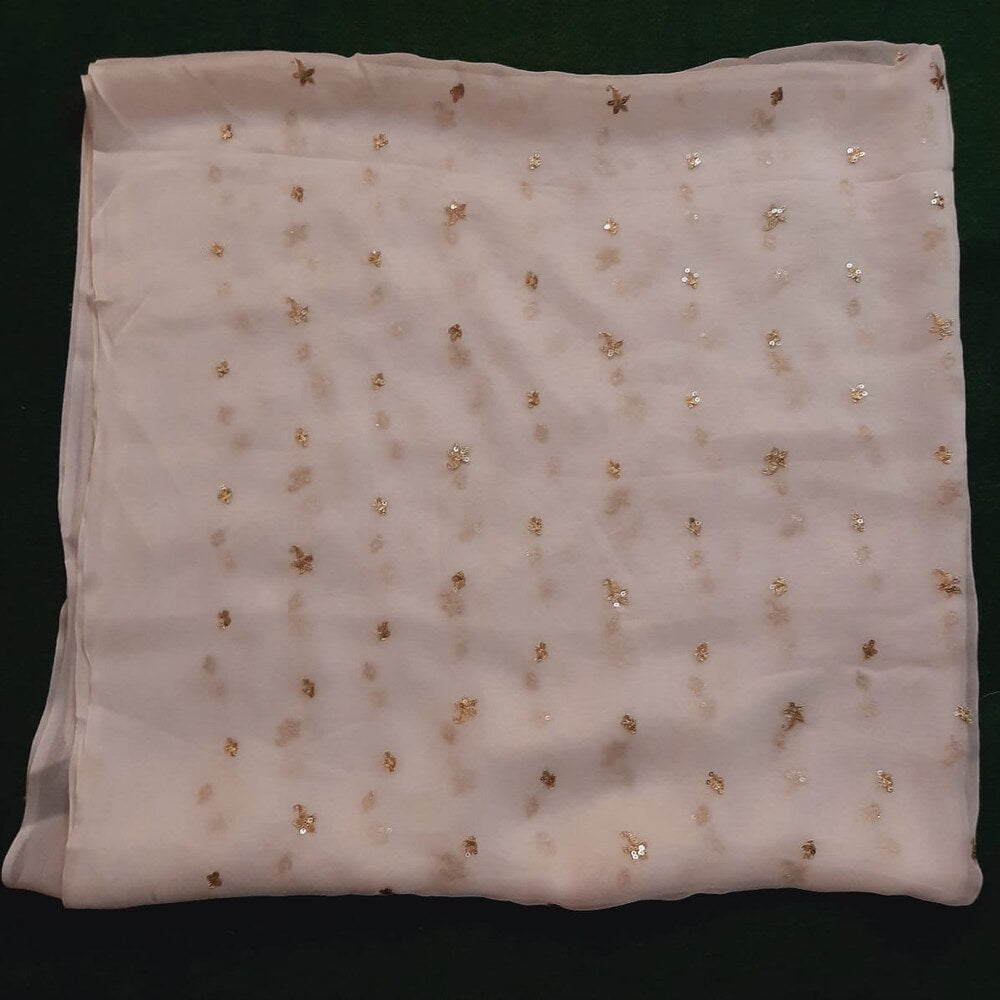 Zari Embroided Chiffon Dupatta – Dyeable – Gold