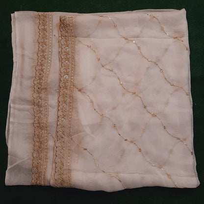 Zari Embroided Chiffon Dupatta – Dyeable – Gold
