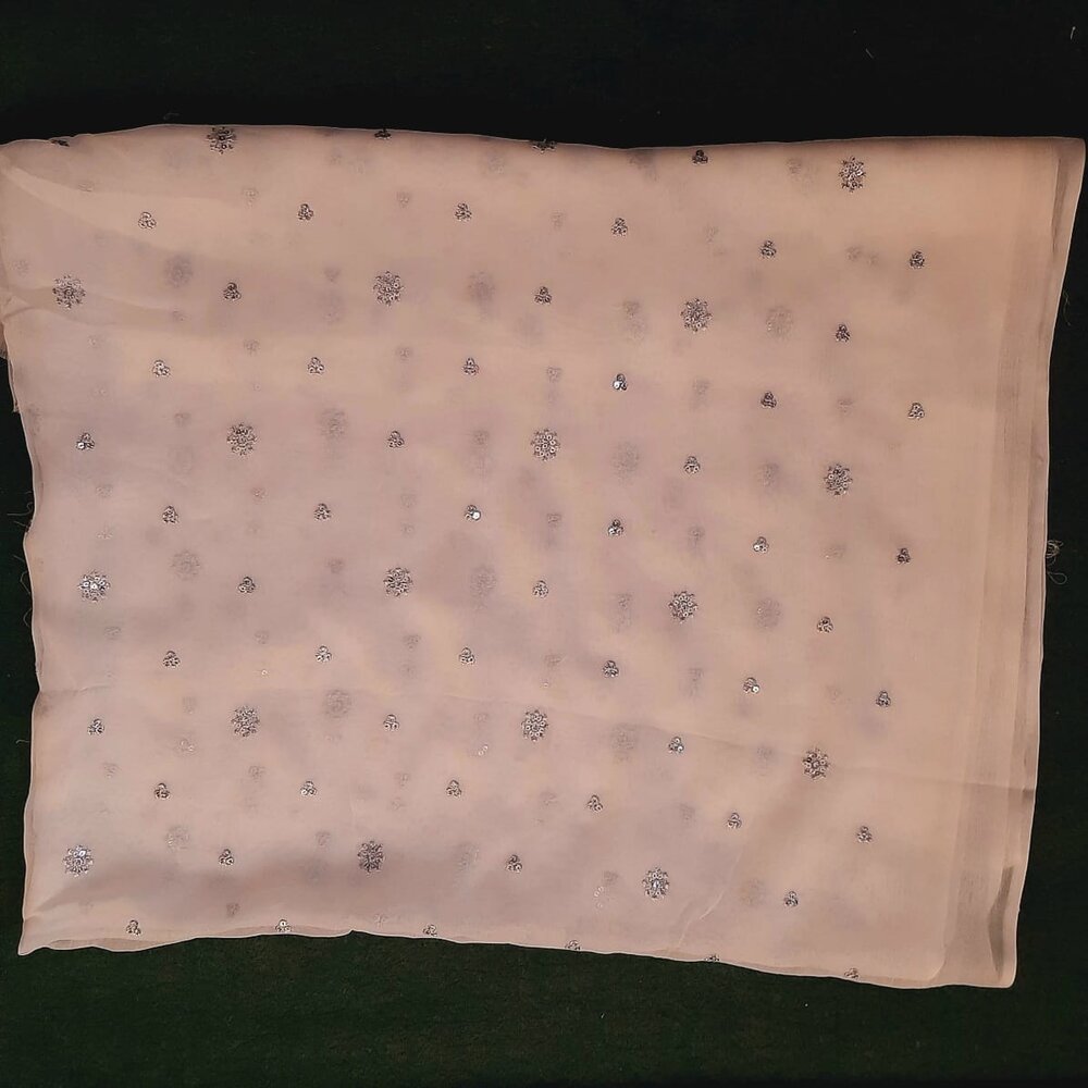 Silver Zari Embroided Chiffon Dupatta – Dyeable