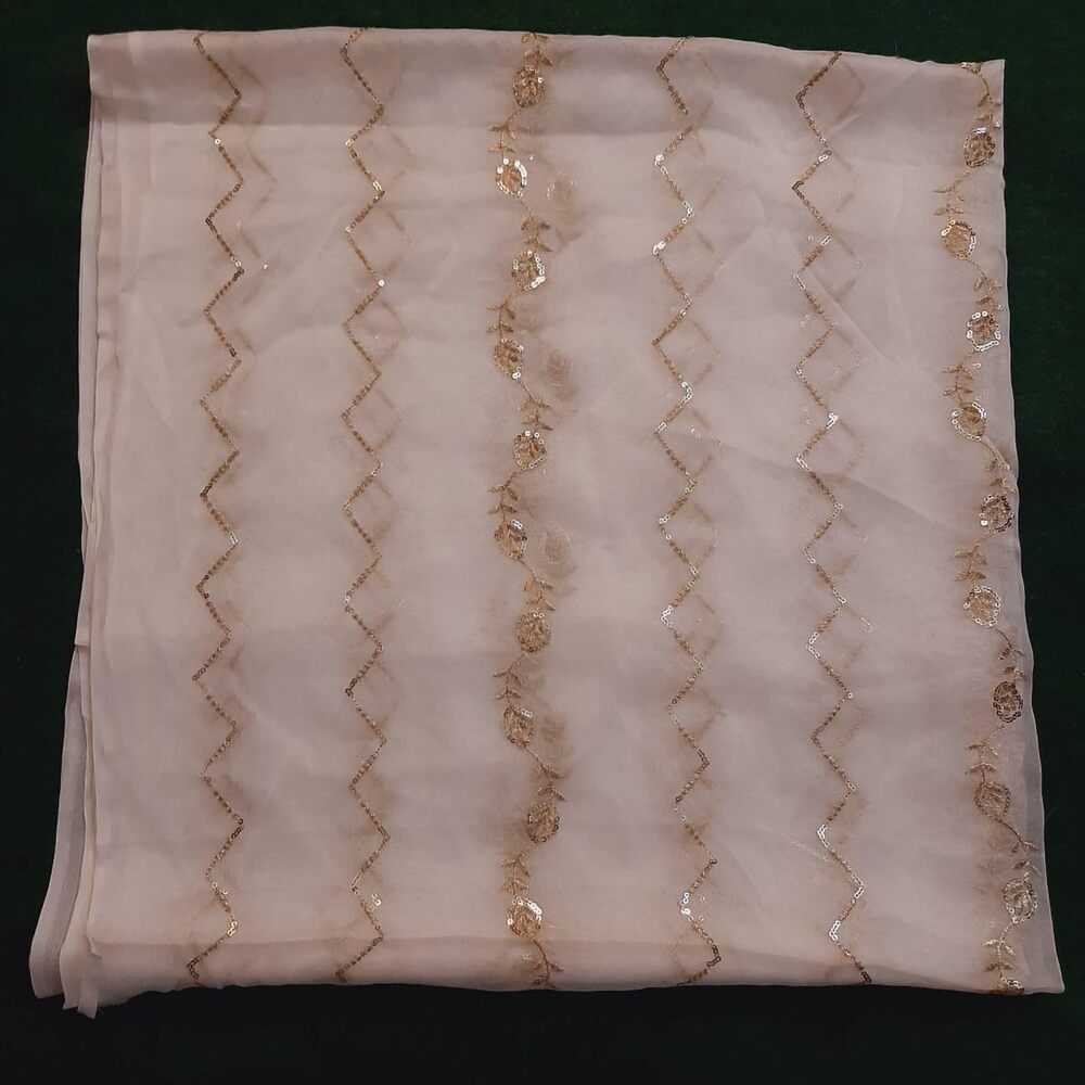 Zari Embroided Chiffon Dupatta – Dyeable – Gold