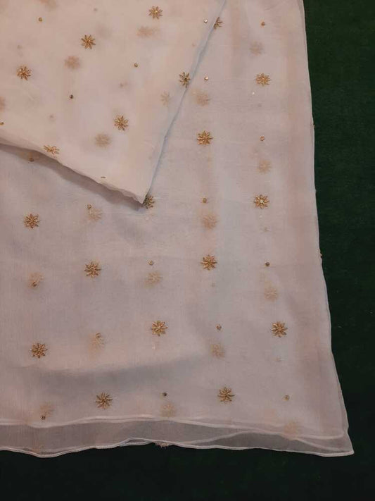 Zari Embroided Chiffon Dupatta – Dyeable – Gold - ZD1002