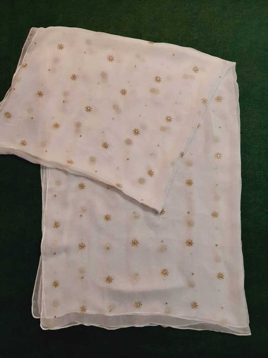Zari Embroided Chiffon Dupatta – Dyeable – Gold - ZD1002