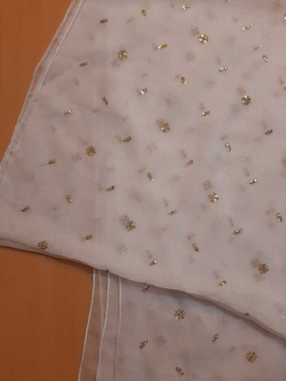 Zari Embroided Chiffon Dupatta – Dyeable – Gold - ZD1004