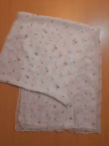 Zari Embroided Chiffon Dupatta – Dyeable – Gold - ZD1004