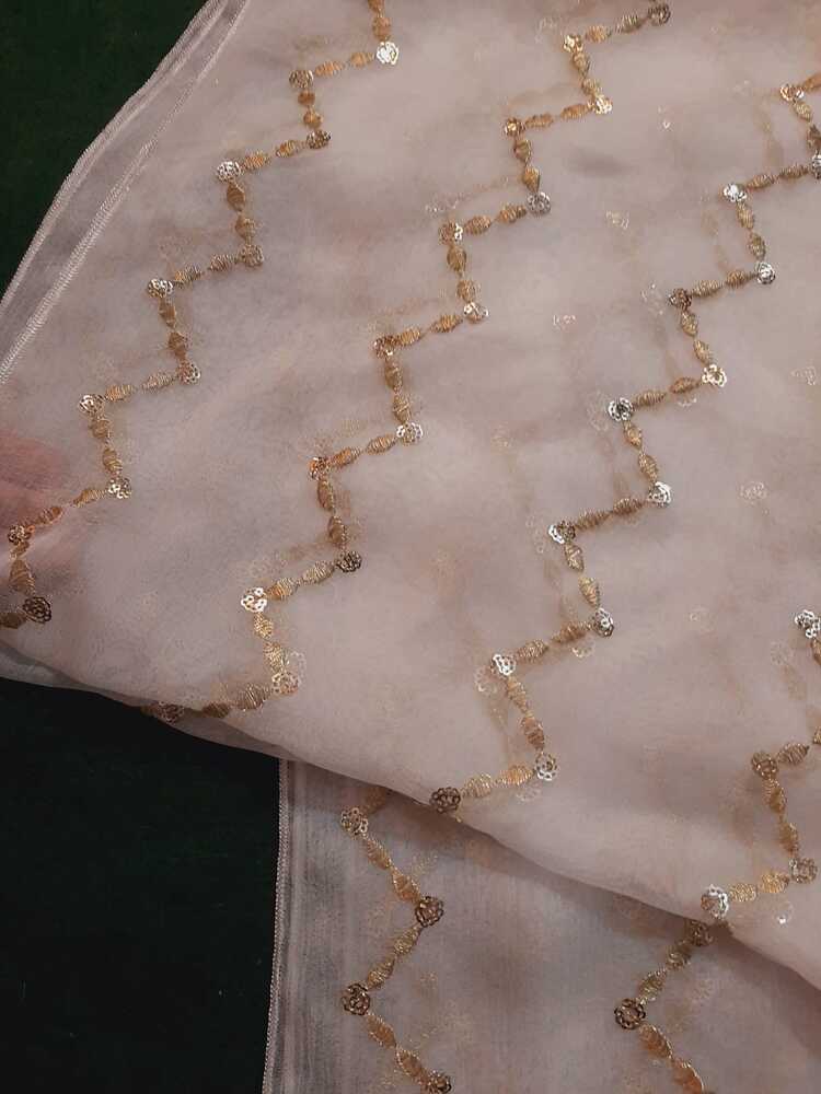 Zari Embroided Chiffon Dupatta – Dyeable – Gold - ZD431