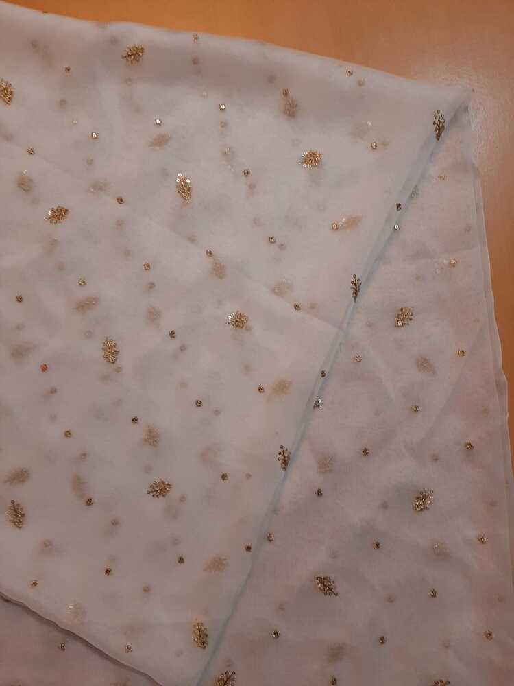 Zari Embroided Chiffon Dupatta – Dyeable – Gold - ZD433