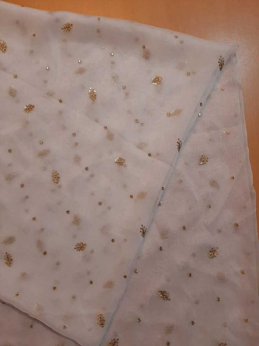 Zari Embroided Chiffon Dupatta – Dyeable – Gold - ZD433