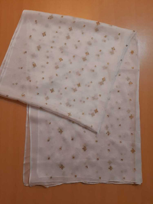 Zari Embroided Chiffon Dupatta – Dyeable – Gold - ZD434