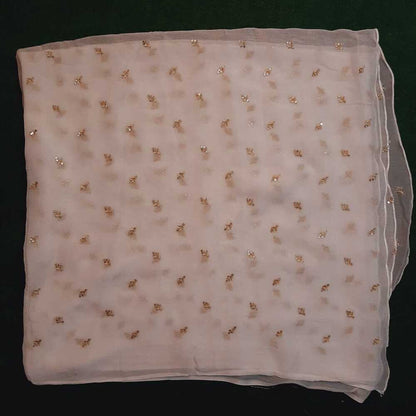 Zari Embroided Chiffon Dupatta – Dyeable – Gold