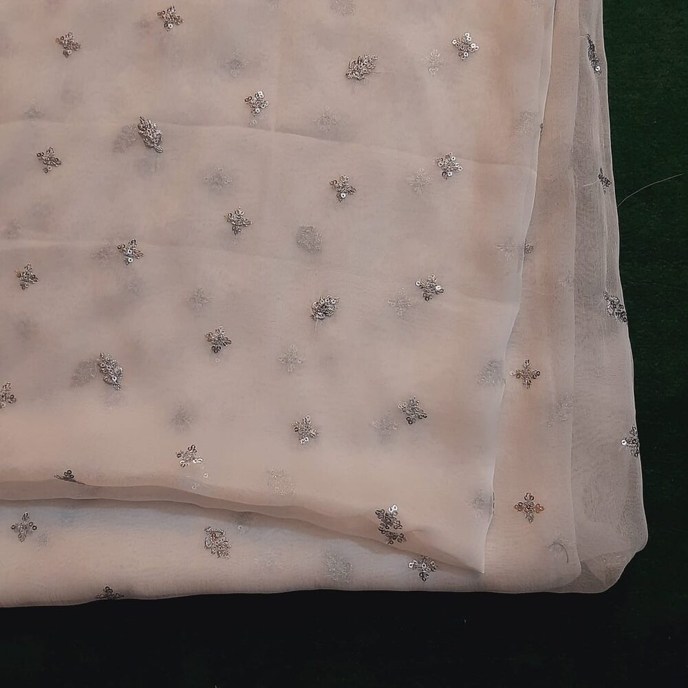 Silver Zari Embroided Chiffon Dupatta – Dyeable