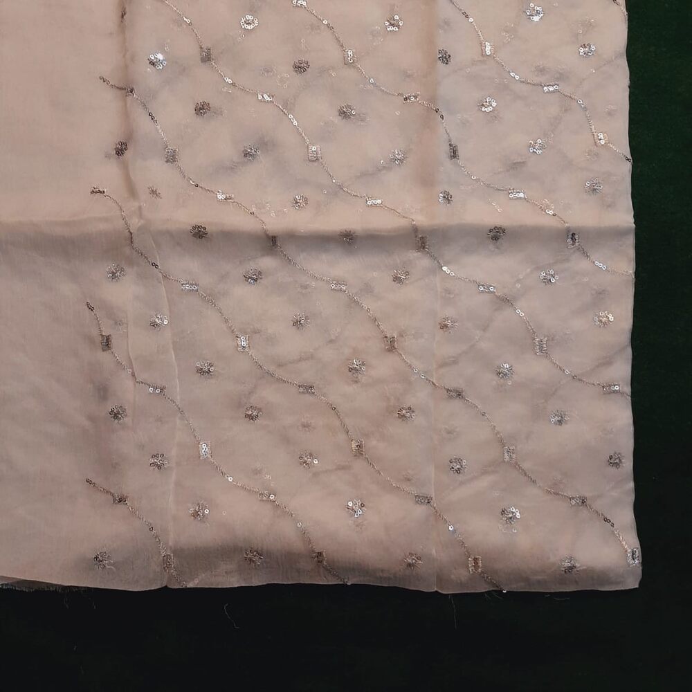 Silver Zari Embroided Chiffon Dupatta – Dyeable